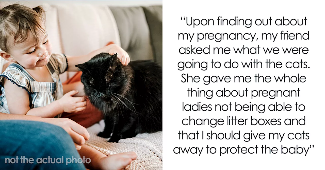 Woman Is Disappointed Friend Won’t Get Rid Of Her Cats Now That She’s Pregnant To Protect Her Baby