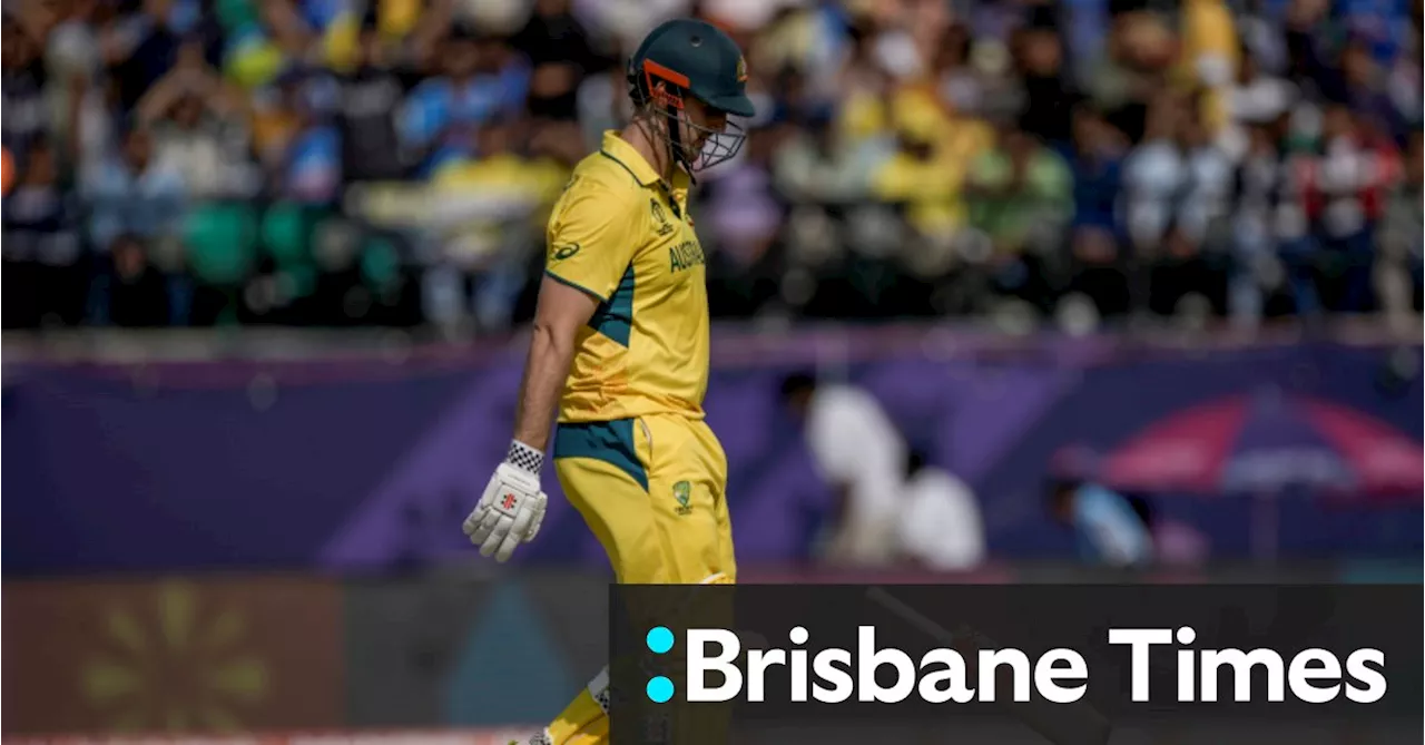 Mitch Marsh leaves World Cup for personal reasons