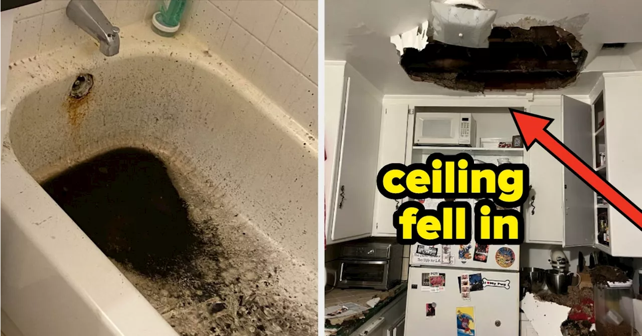 Photos Of Unhinged Landlord Behavior