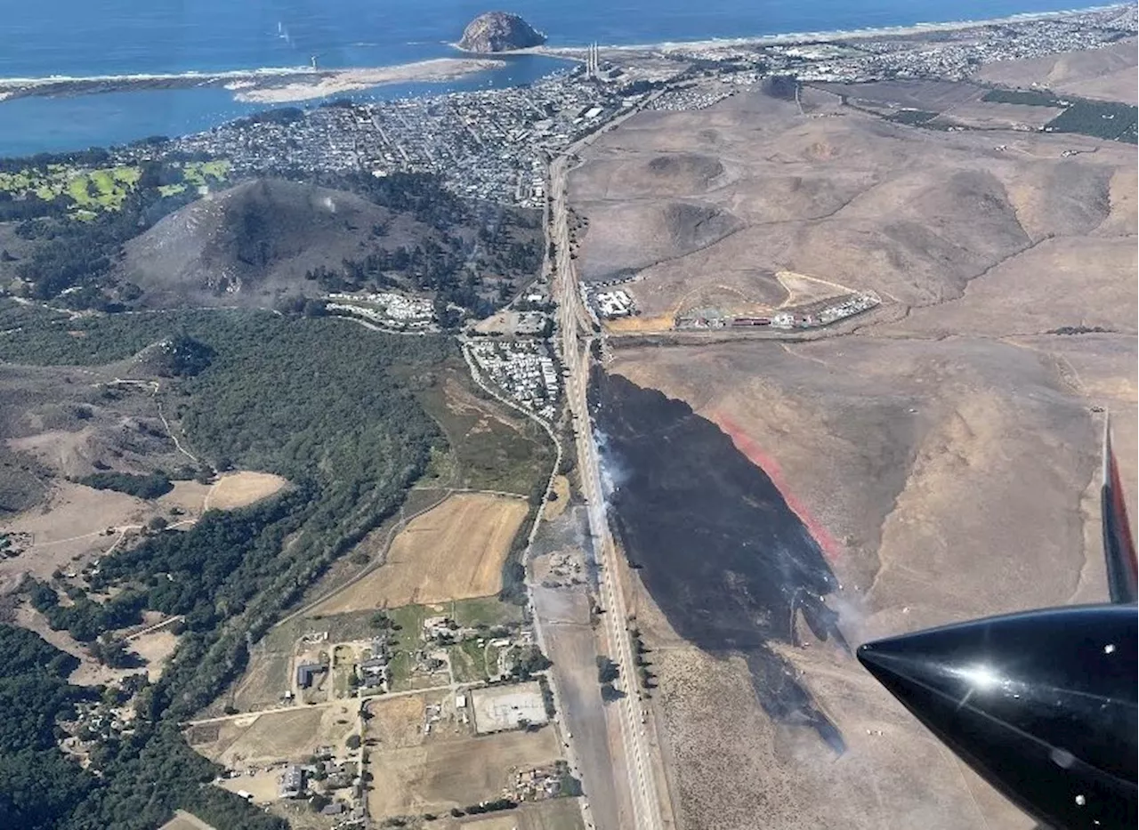 Fire burns nearly 50 acres along Highway 1 near Morro Bay