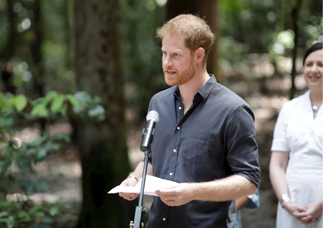 Prince Harry : ce chiffre qui fait très mal au regard de ses discours pour l’environnement