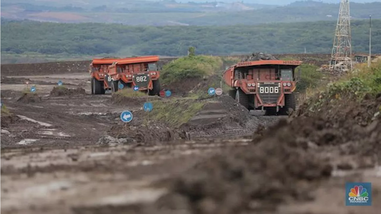 Produksi Batu Bara RI Diramal Nyaris 700 Juta Ton Tahun Ini