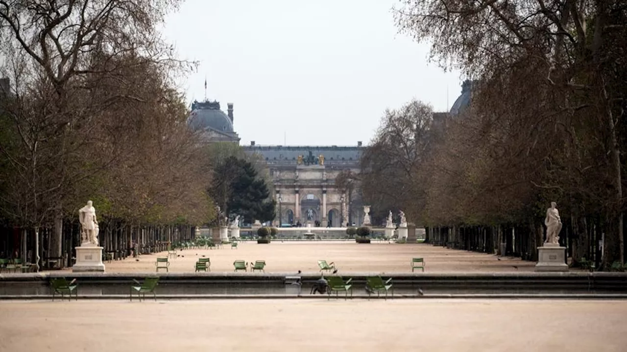 Tempête Ciaran : comment Paris se prépare à l'arrivée des vents violents