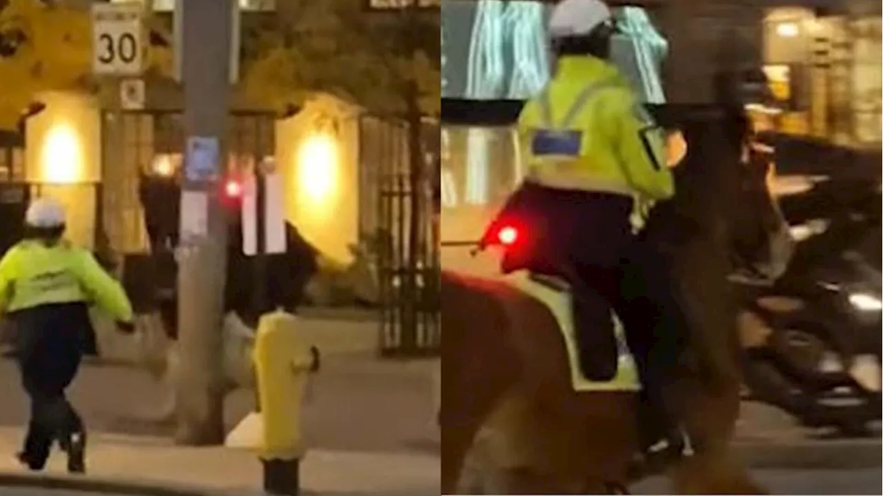 Video shows officer chasing after police horse that bolted in downtown Toronto