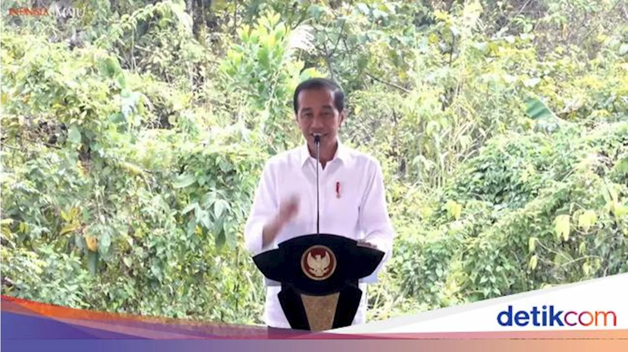 Jokowi Ajak Bos-bos Investasi di IKN: Mumpung Harga Tanahnya Masih Murah