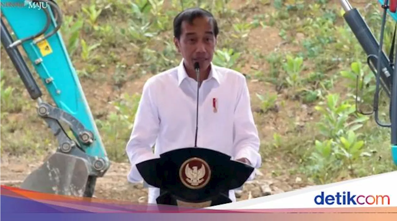 Jokowi Ungkap 3 Hal Paling Sering Ditanyakan soal Pindah Ibu Kota