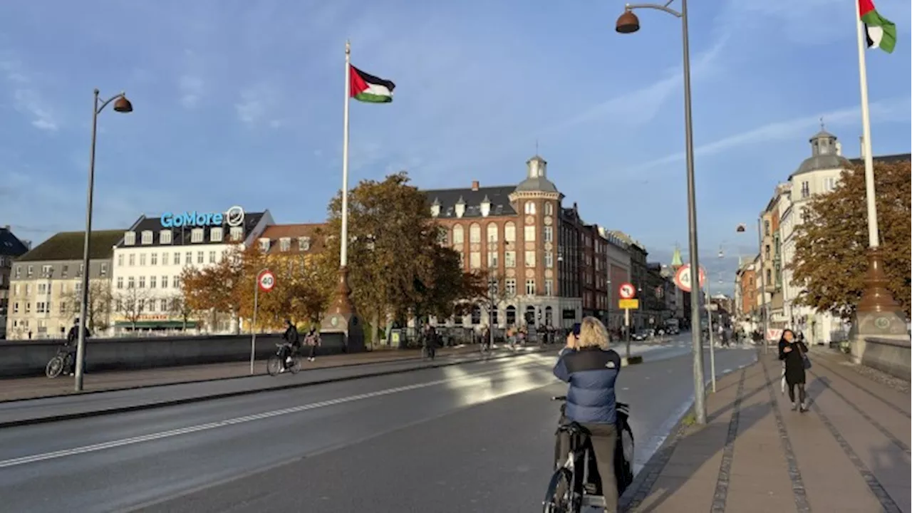 Palæstinensiske flag vajer på Dronning Louises Bro i København | Nyheder