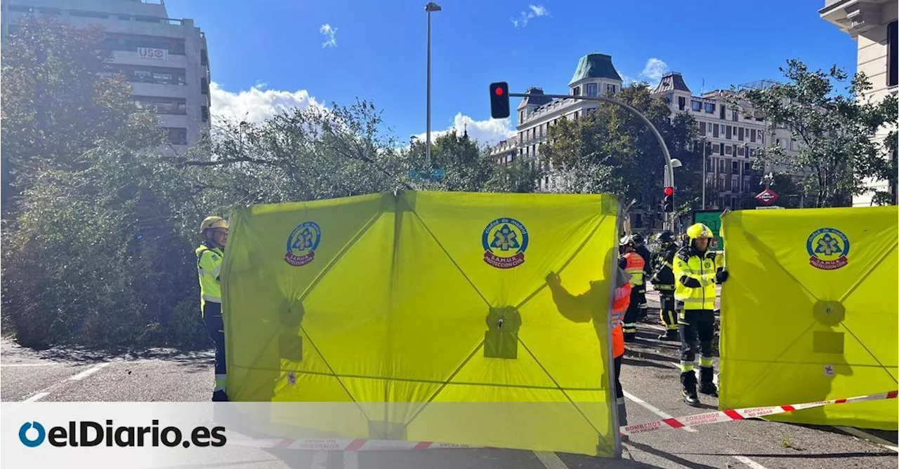 Muere una joven de 23 años en la zona de Alonso Martínez de Madrid por la caída de un árbol a causa del viento