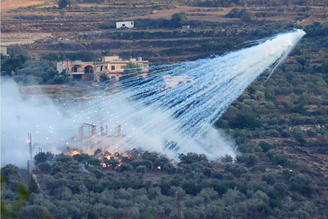 40,000 olive trees, farmland destroyed in Israeli shelling in south Lebanon