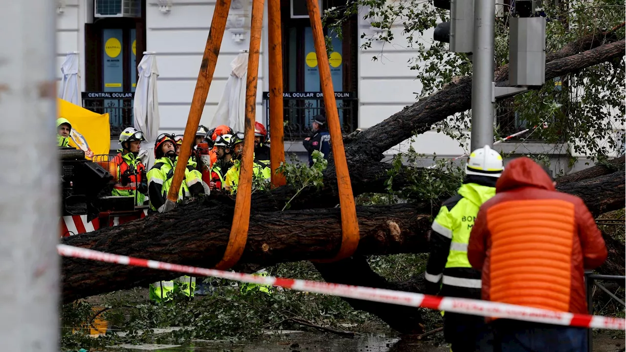 At Least Five Dead As Storm Ciarán Batters Western Europe