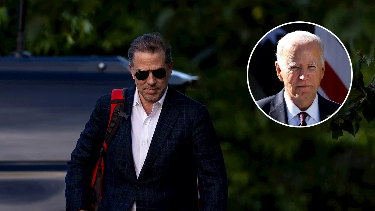 Hunter Biden sounds off on ‘political weaponization’ of his addiction: ‘All out annihilation of my reputation’