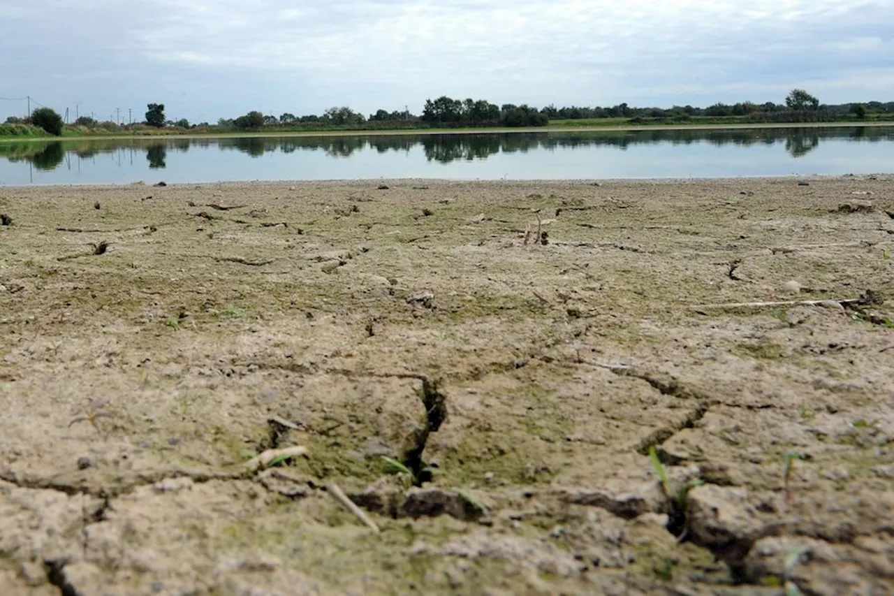 La pluie améliore l'état des sols dans l'Ain mais des restrictions subsistent