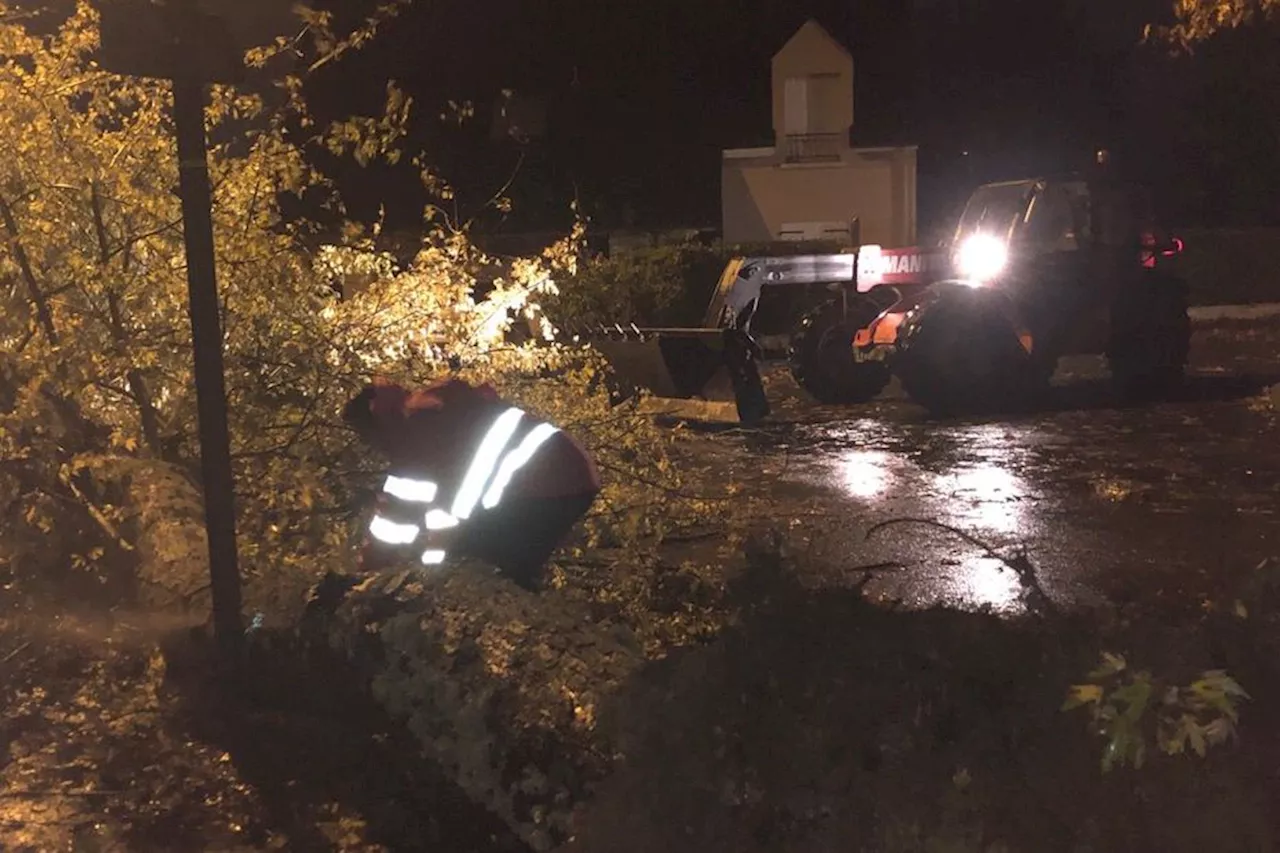 Tempête Ciaran. En Mayenne, 70 chutes d'arbres dans la nuit, un accident de la route fait un blessé