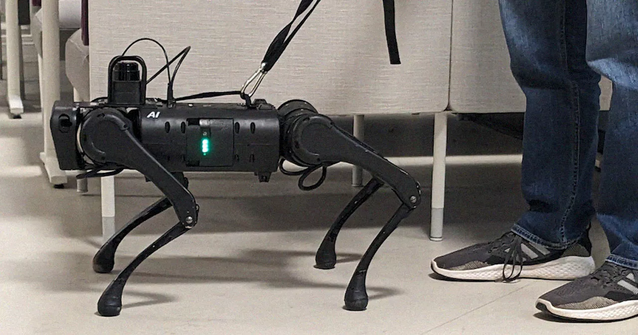 Scientists Create Robotic Seeing Eye Dog