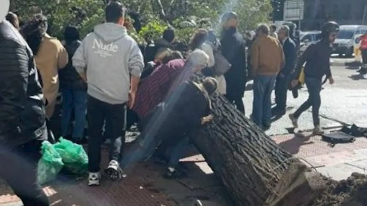 El pánico tras la caída del árbol que ha matado a una joven en Madrid