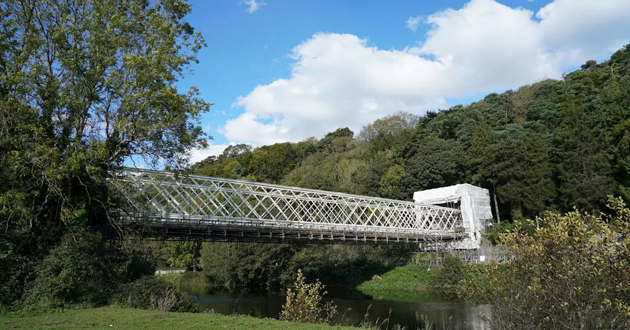 ‘It would be transformative’: Liffey crossing Farmleigh Bridge has been restored, but will it ever be reused?