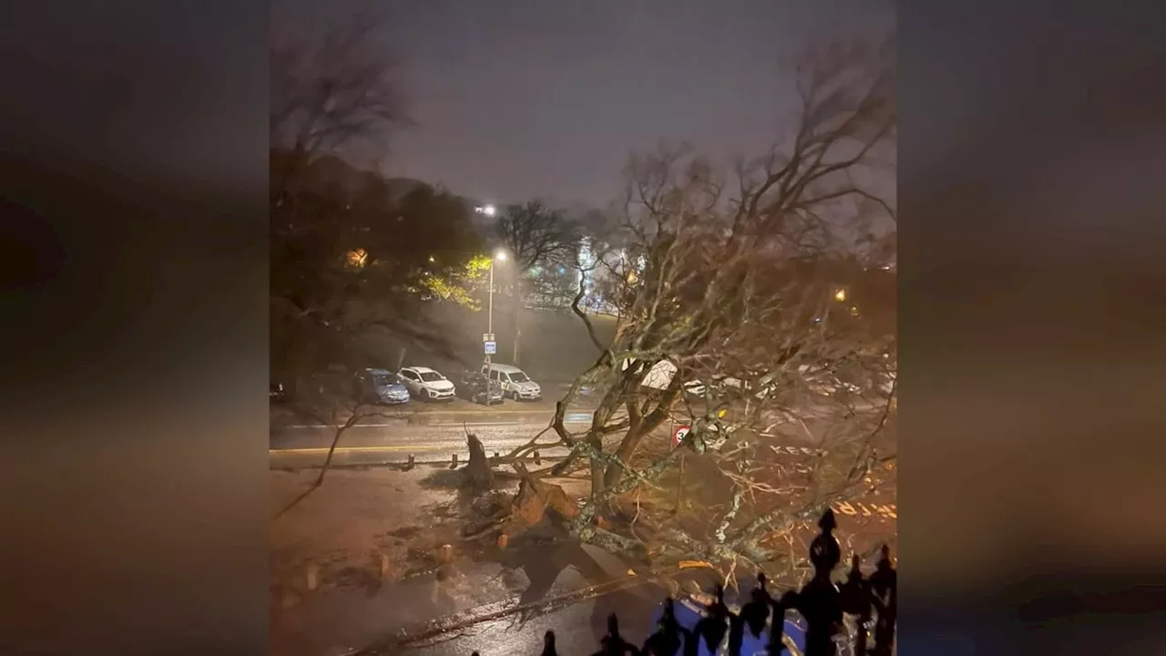 Storm Ciarán: Was Jersey hit by a tornado?