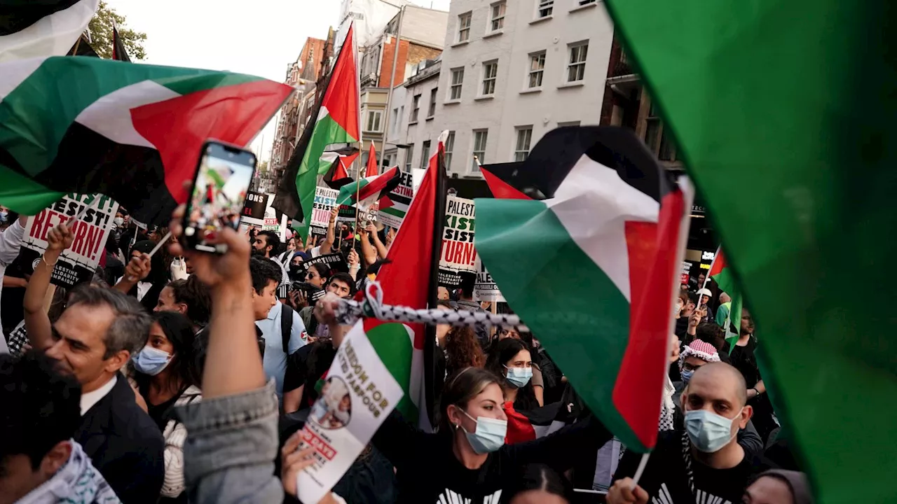 Ex-teacher from Norfolk told pro-Palestine protesters to go back to their country