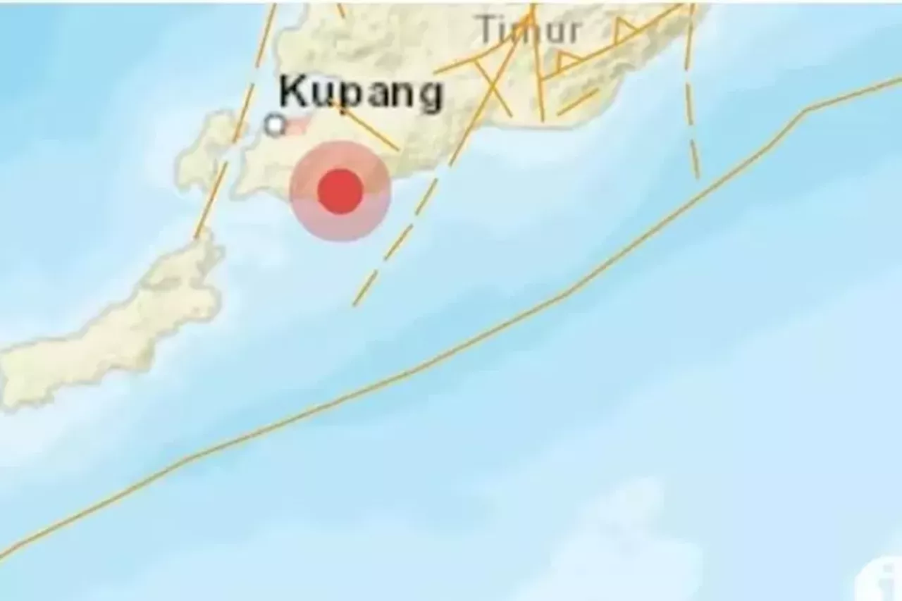 Breaking News! Kupang NTT Diguncang Gempa 6,6 Magnitudo