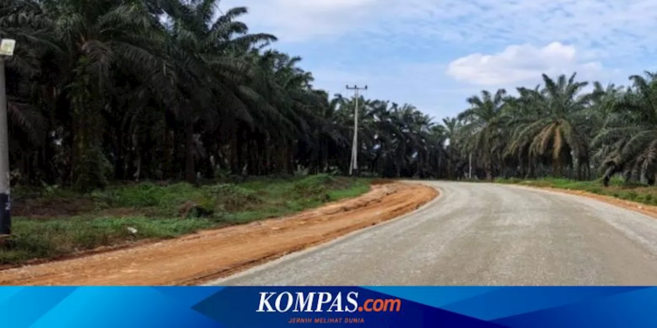 29,84 Kilometer Jalan Daerah di Sumbar Diperbaiki, Progresnya 51 Persen