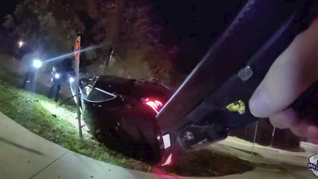 'He's not talking,' driver tells officers after crashing while fleeing from police