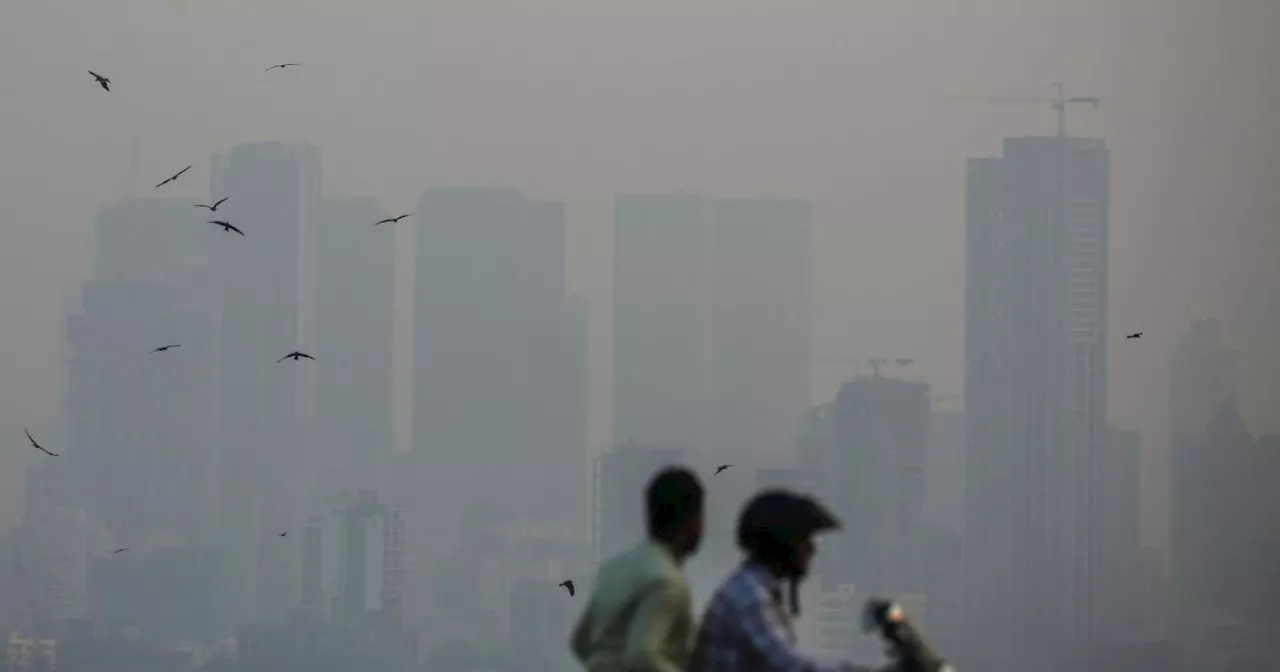 Keine Baustellen wegen Mega-Smog in Neu-Delhi