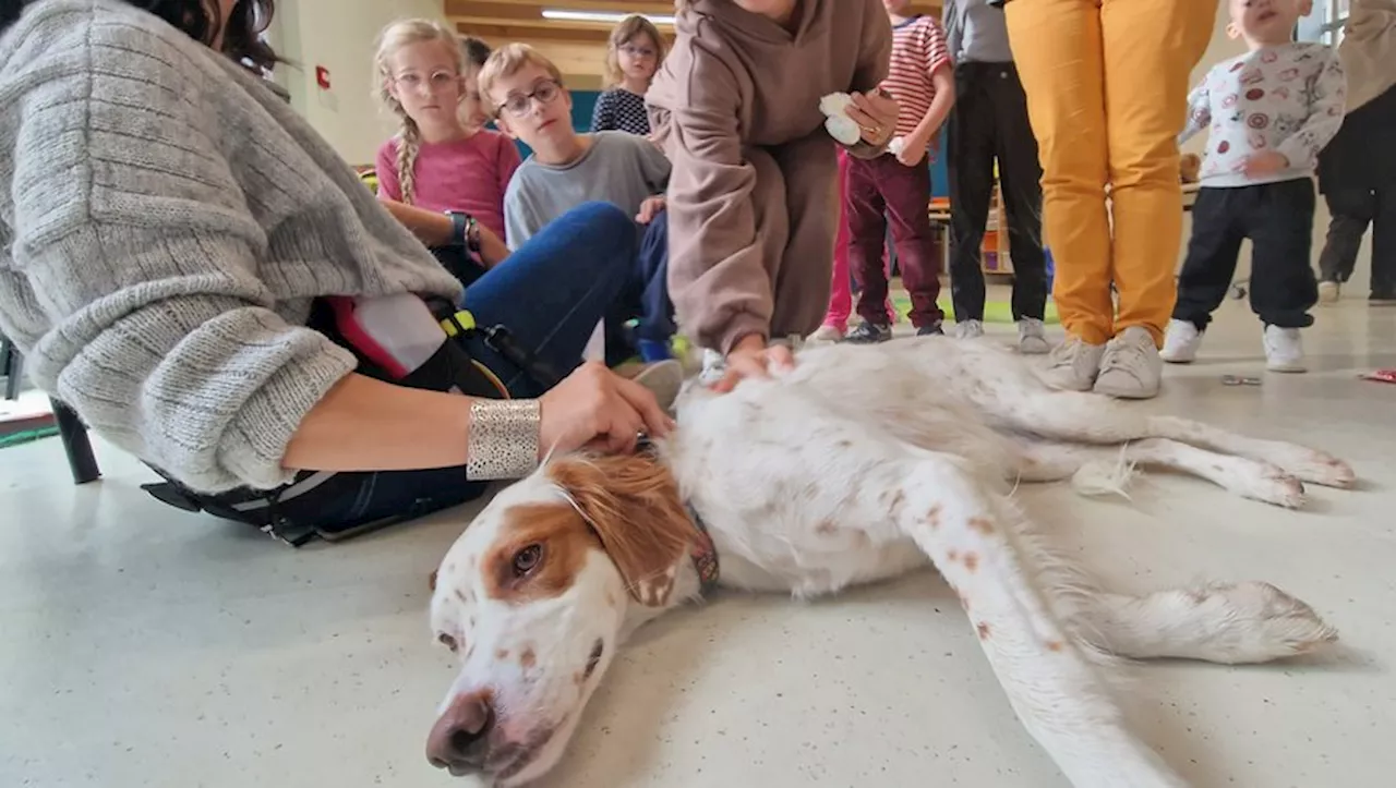 Dans l'Est toulousain, Lydie apprend à comprendre les chiens pour ne plus les craindre