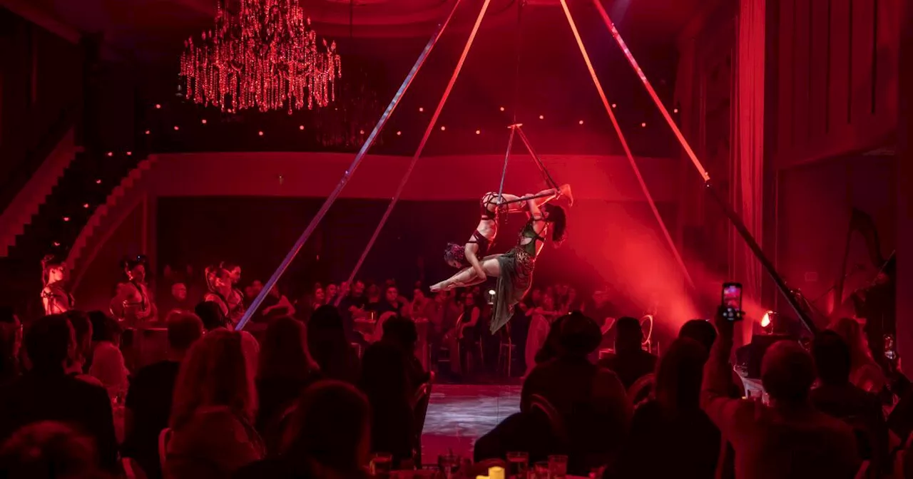 Acrobatic vampires and ‘simulated blood sucking’: This is not normal dinner theater