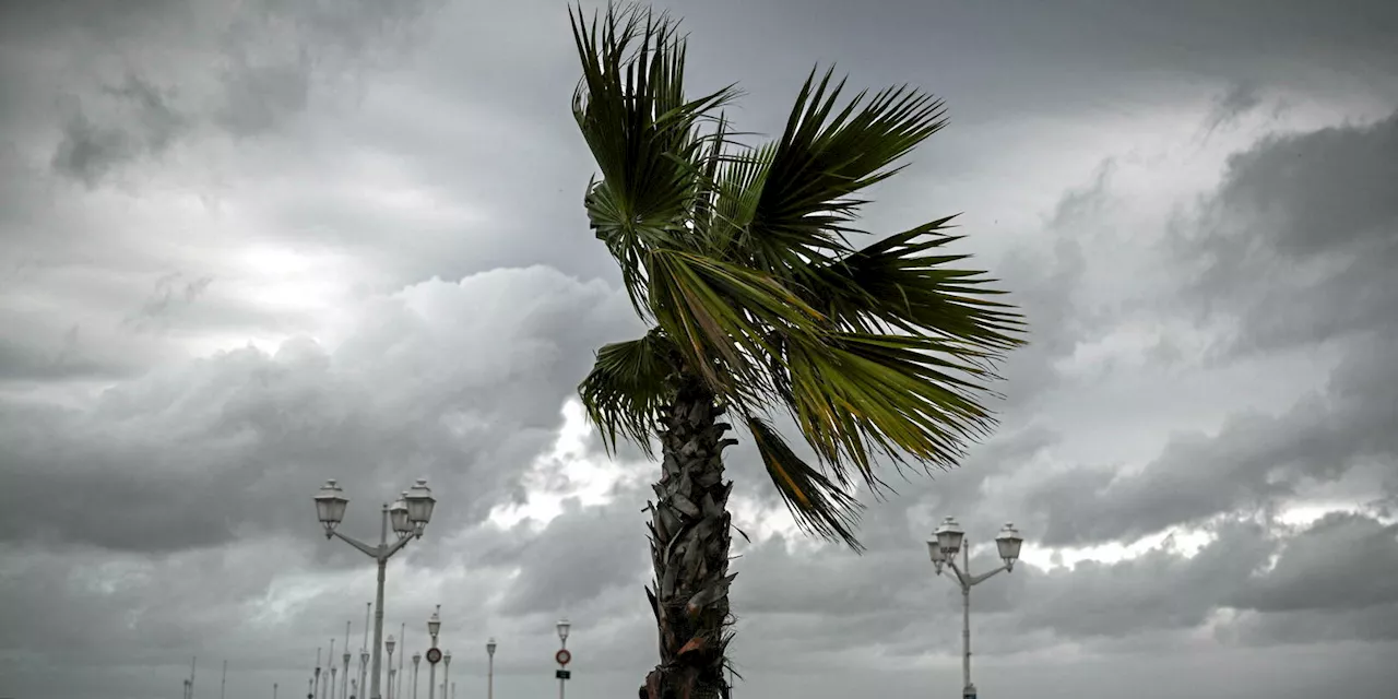 Tempête Ciaran : des rafales de plus de 160 km/h, les premiers dégâts ressentis