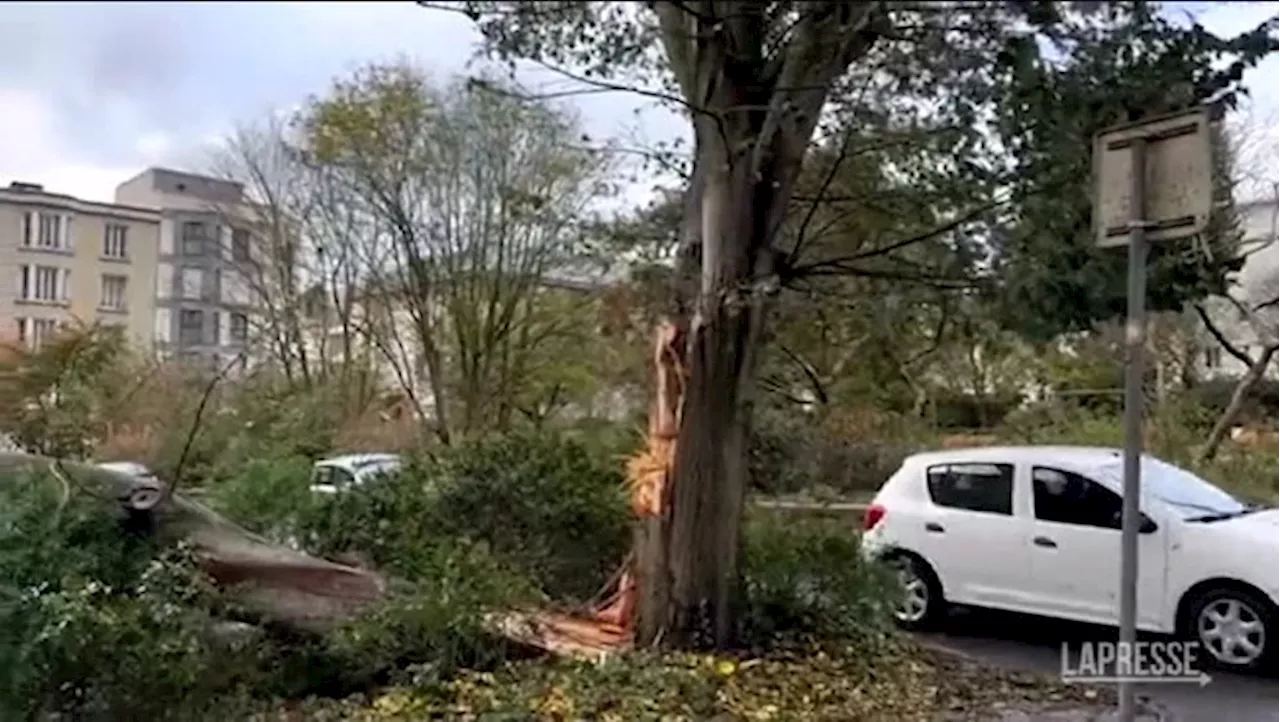 Francia, tempesta Ciaràn sferza la costa Atlantica: alberi sradicati e finestre in frantumi