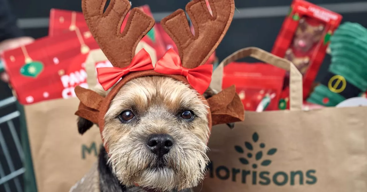 Morrisons' 29 dog gift ideas for Christmas starting at less than £1.50