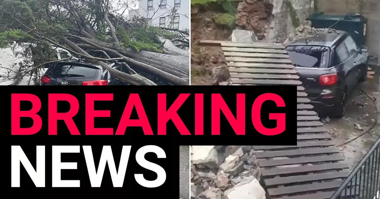 Jersey looks like a disaster zone after 100mph Storm Ciaràn winds hammer island