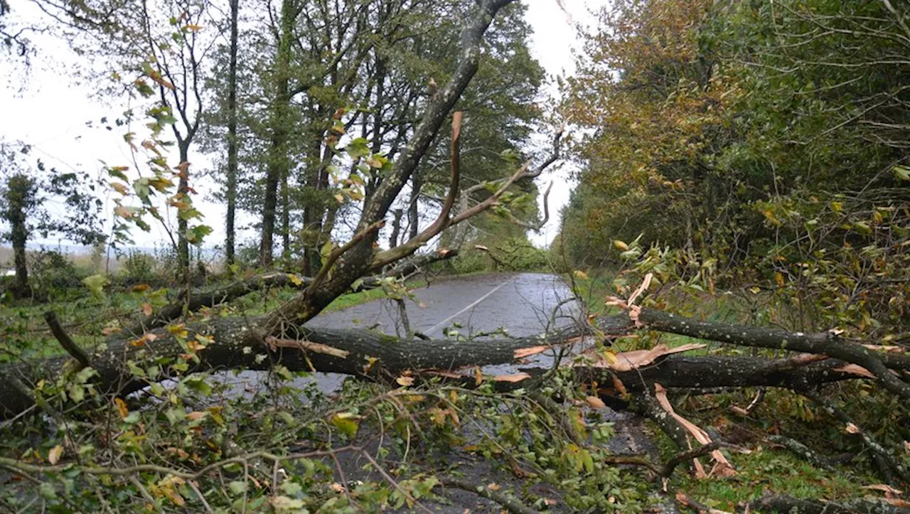 L'ACTU A MIDI. Bilan de la tempête Ciaran, étoiles de David taguées, mort d'un rugbyman dans l'Hérault... ce q