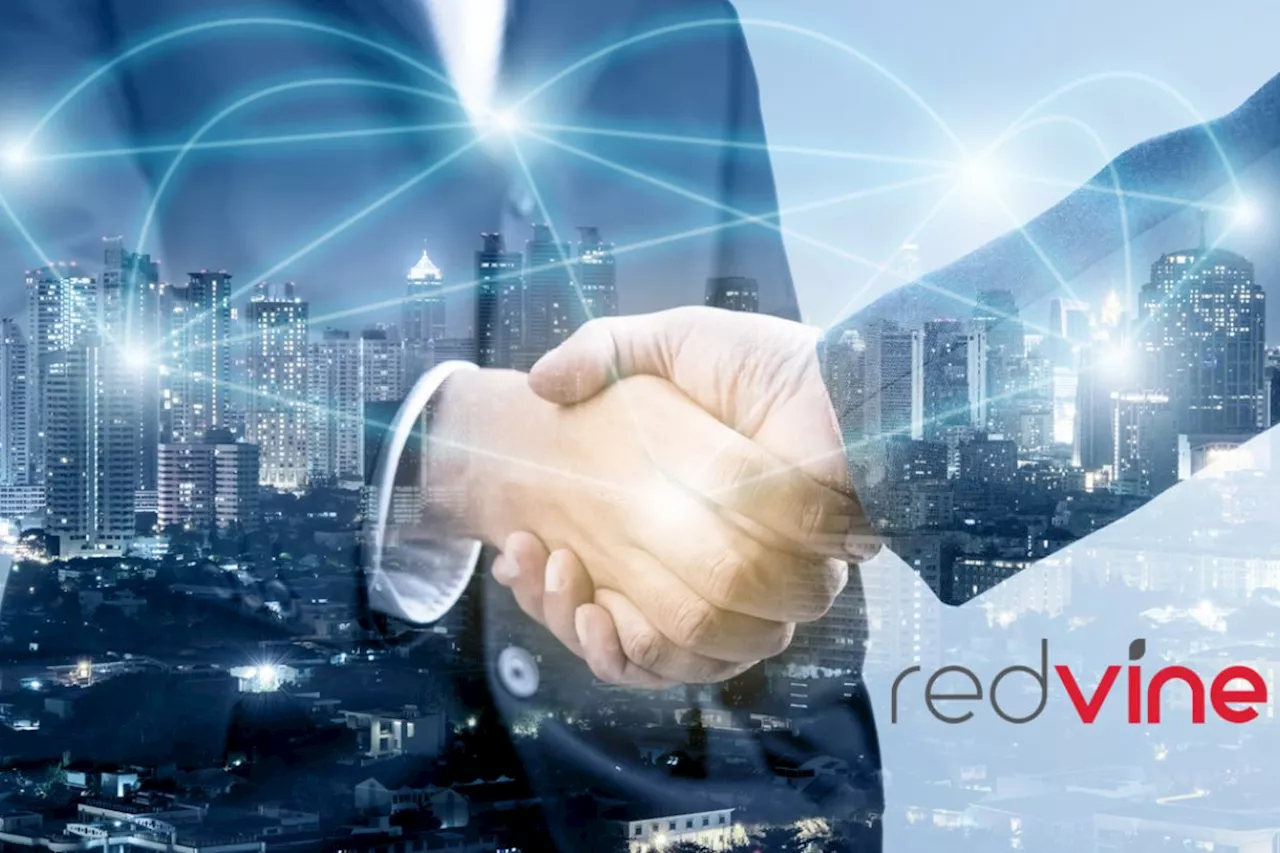 Redvine Networks brings industry-first automation capabilities to SD-WAN solutions in South Africa