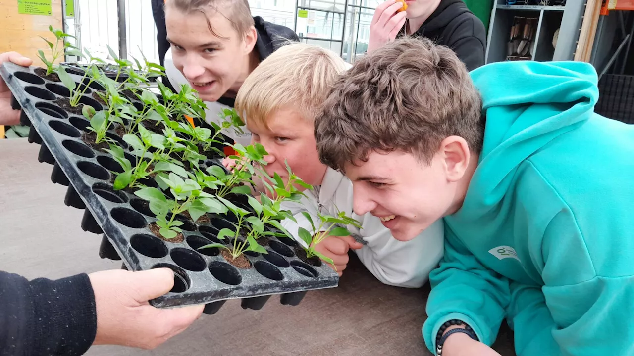 Horner Poly zu Gast in Gartenbauschule Langenlois