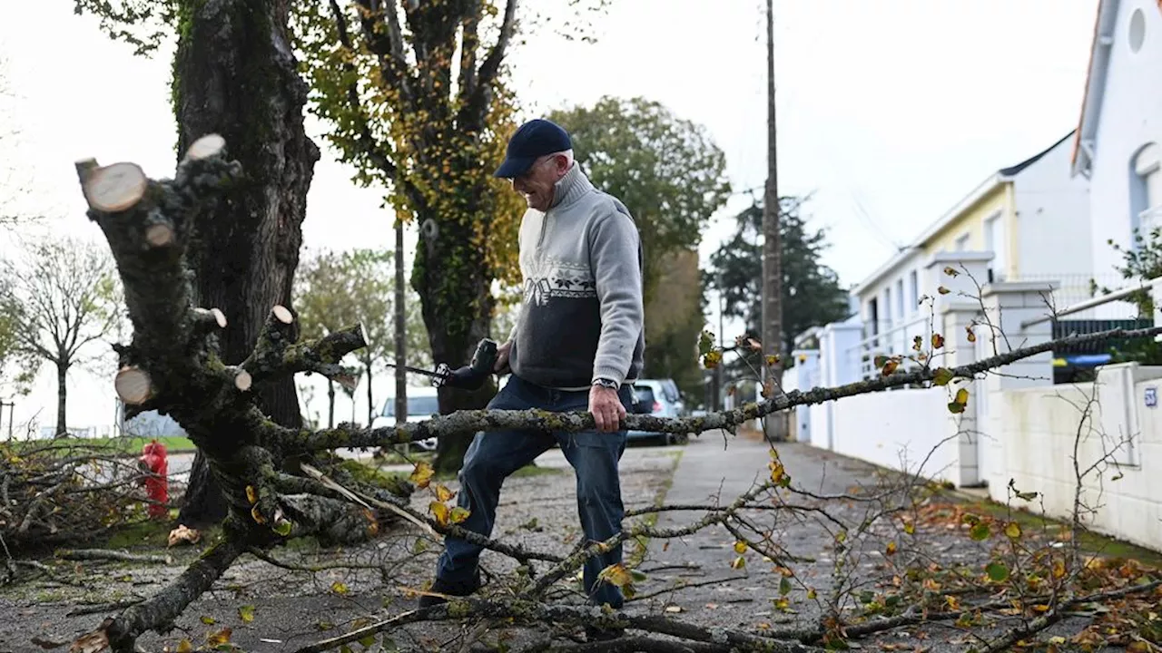 Veel overlast door storm Ciarán in Frankrijk, Nederland en Groot-Brittannië