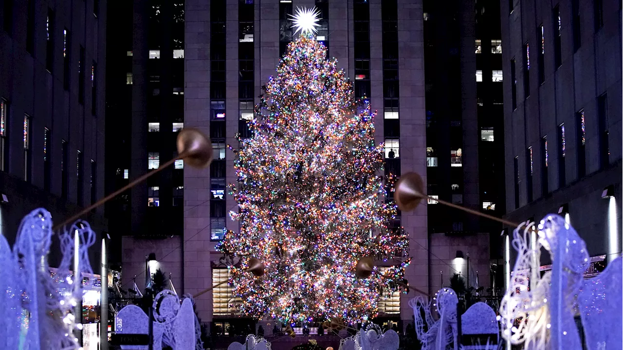 Yes, they've already picked the Rockefeller Center's giant Christmas tree for 2023