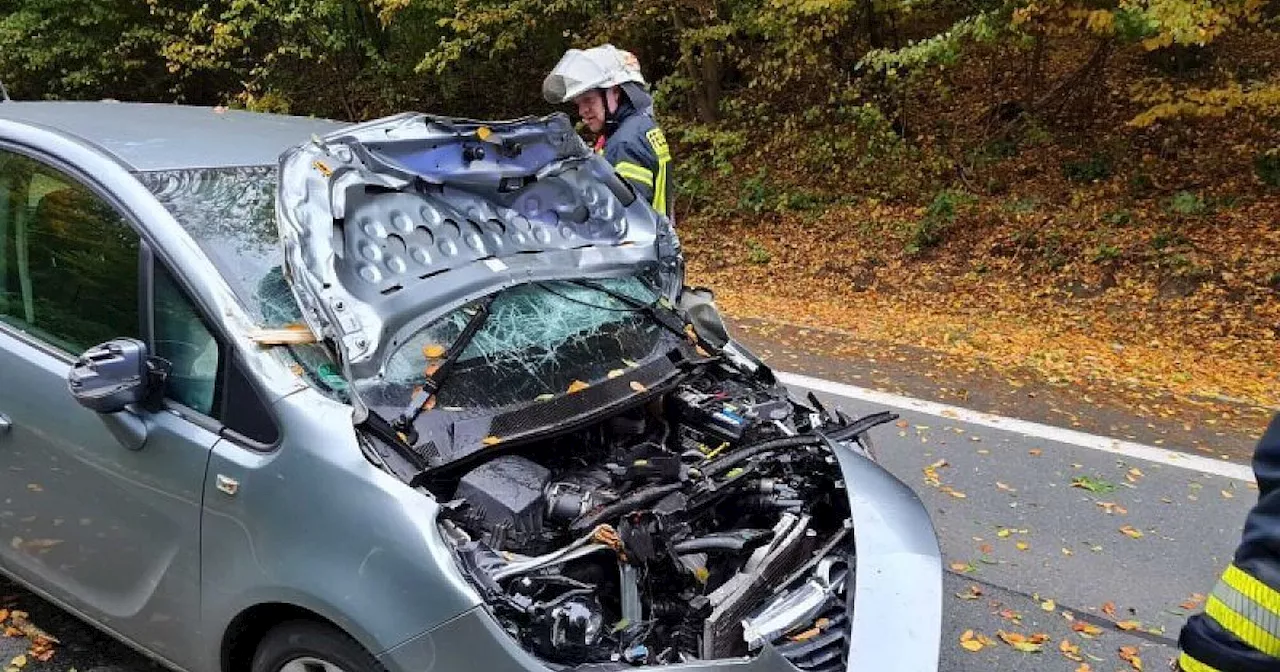 Sturm im Kreis Gütersloh: Frau bei Unfall verletzt - Wetterdienst warnt bis zum Abend