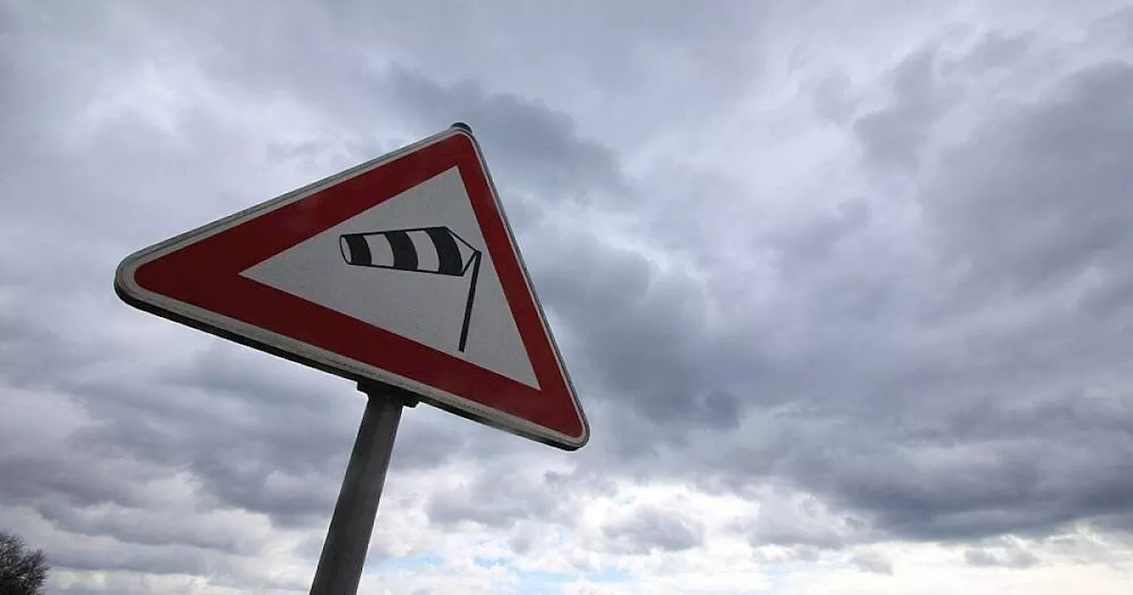 Stürmisches Wetter in OWL: Bäume stürzen auf Auto und Bahngleise