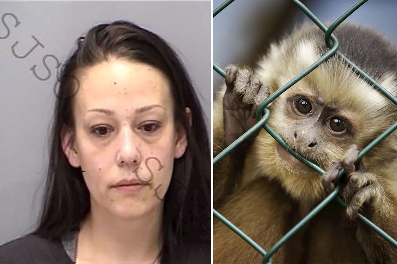 Florida woman arrested for conspiring to create sadistic 'animal crush' videos of monkey torture