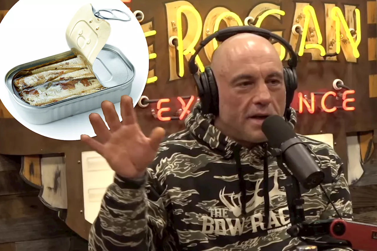 Joe Rogan said he 'poisoned' himself eating too many sardines: Can arsenic in fish make you sick?