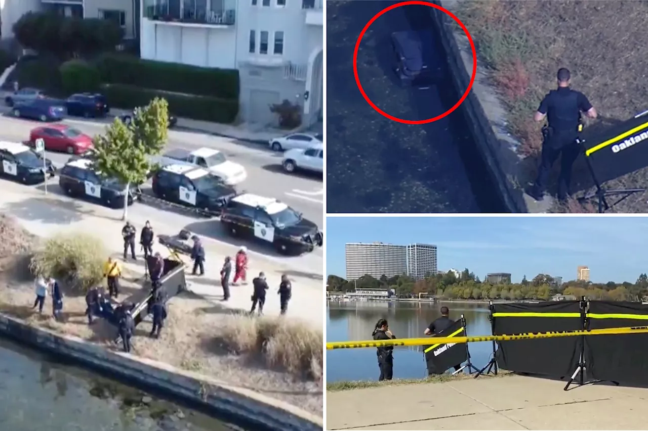 Volunteers cleaning up California lake find murdered man stuffed in suitcase