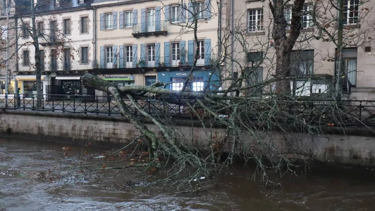 Tempête Ciaran : 286 000 compteurs électriques ne sont plus approvisionnés en Finistère