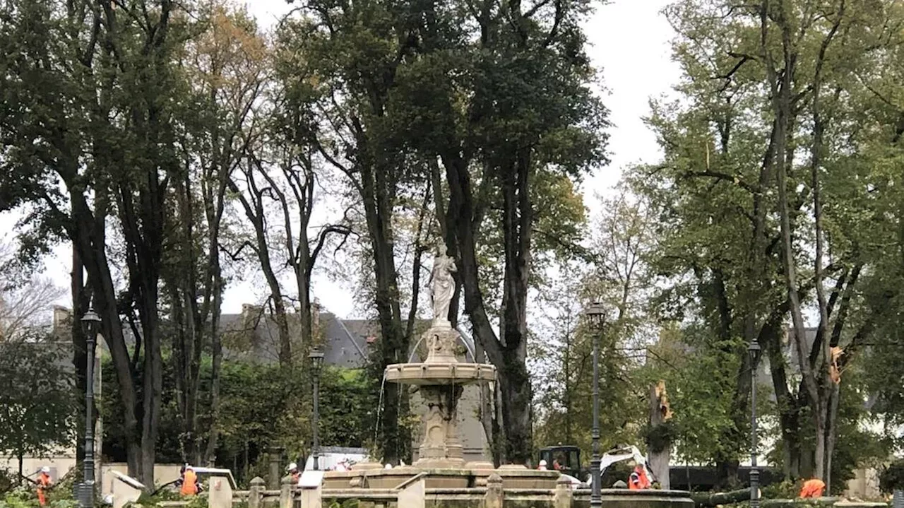 Tempête Ciaran : À Bayeux, la place Charles-de-Gaulle inaccessible jusqu’à nouvel ordre