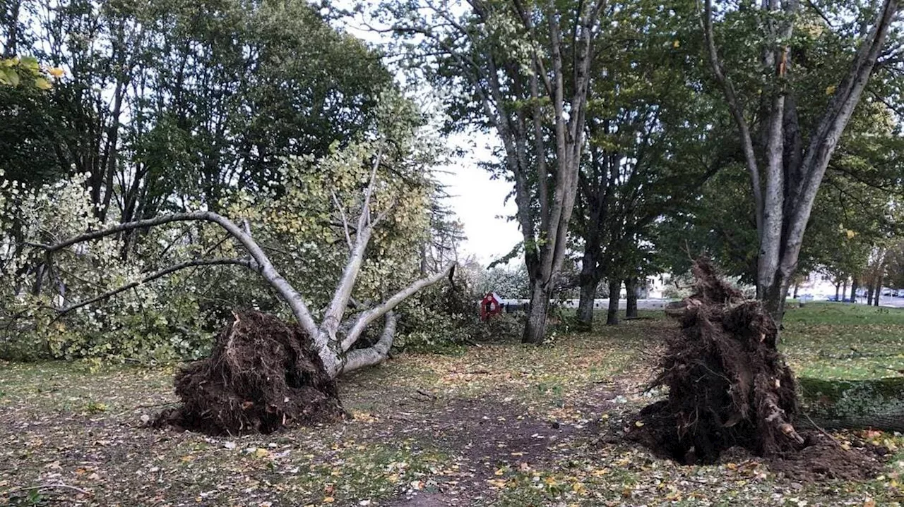 Tempête Ciaran : à Saint-Nazaire, des mesures d’interdiction maintenues