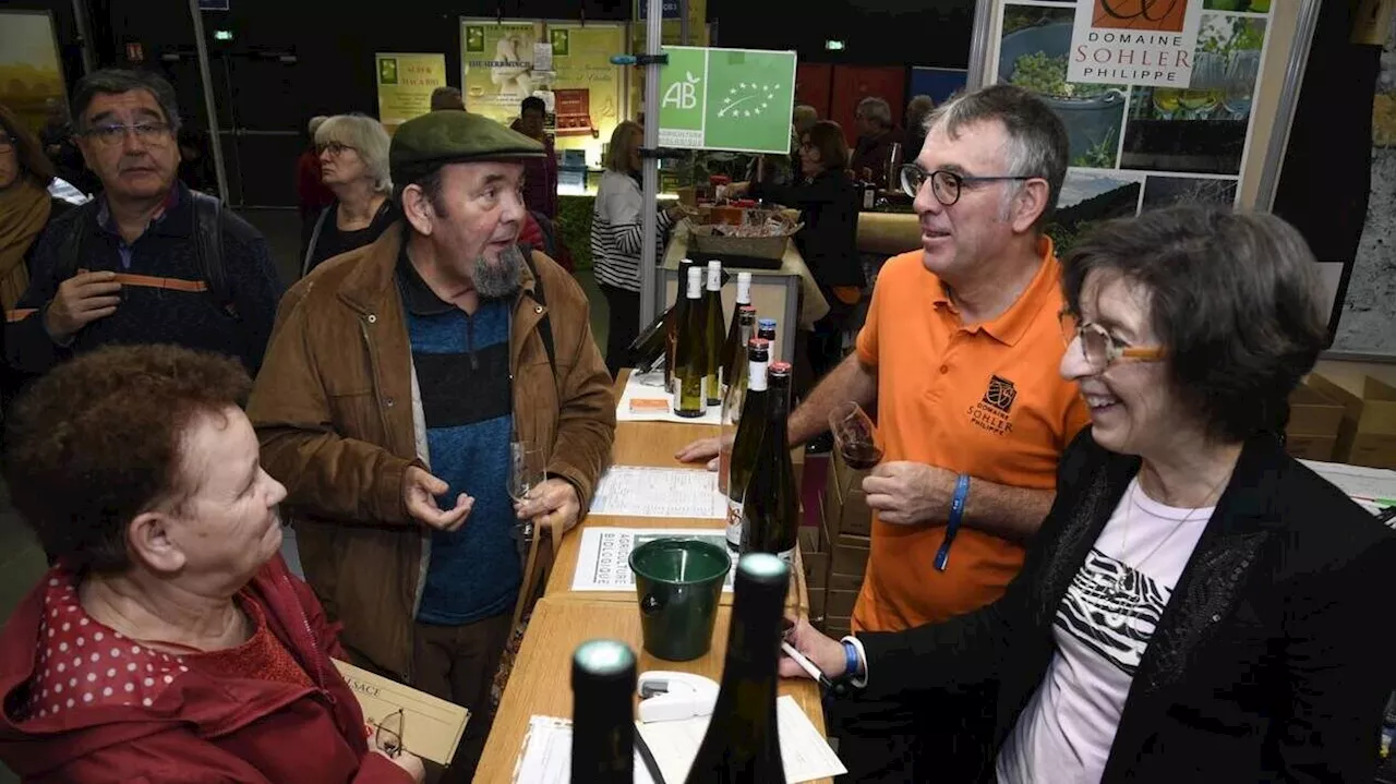 Vins : où faire le plein de dégustations et de découvertes en Maine-et-Loire avant Noël ?