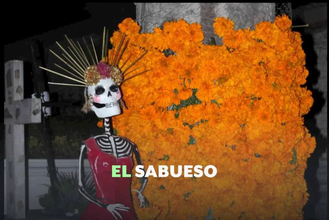 Derecho de los muertos ¿Cómo y quién regula y administra los panteones?