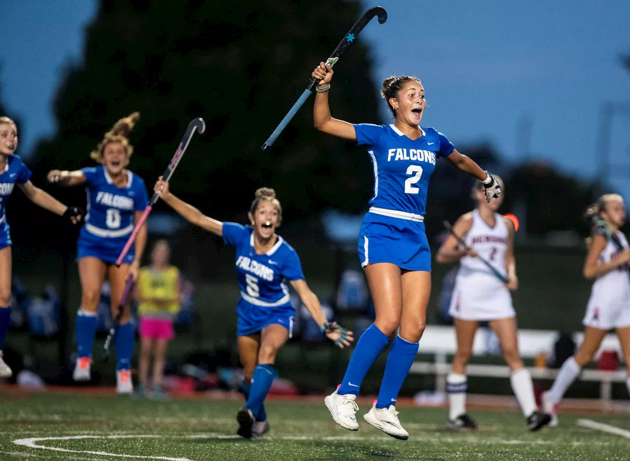 Lower Dauphin field hockey returns to District 3, 3A title game after dispatching Warwick