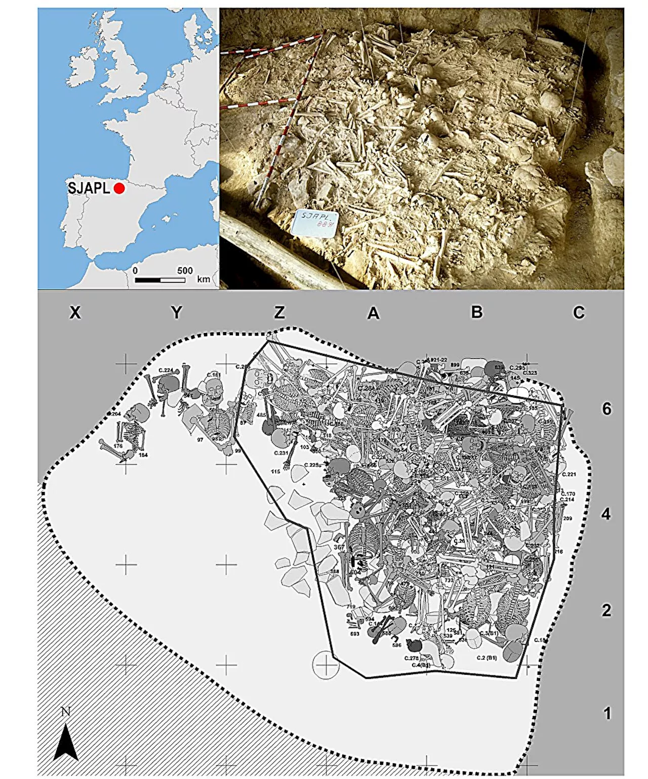 Larger-scale warfare may have occurred in Europe 1,000 years earlier than previously thought