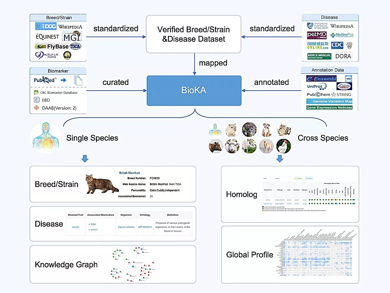 Researchers develop curated and integrated biomarker knowledgebase for animals